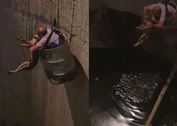 إنقاذ كلب حلوان