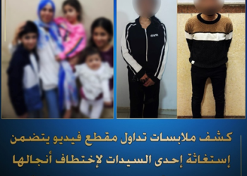 بالفيديو ..كشف ملابسات تداول مقطع فيديو يتضمن إستغاثة إحدى السيدات لإختطاف أنجالها بالقليوبية.. وضبط مرتكب الواقعة