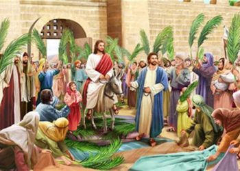 احتفالات أحد الشعانين: الكنائس تزيّن بالسعف وأغصان الزيتون.