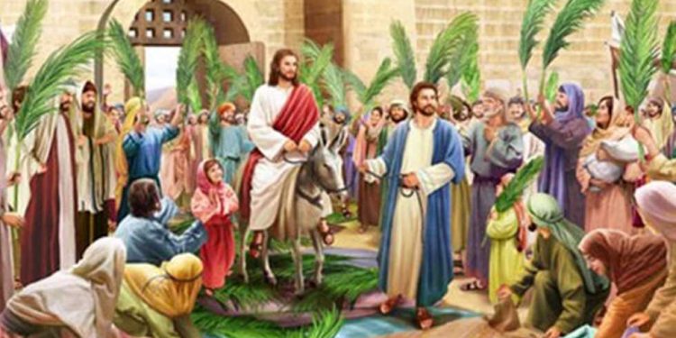 احتفالات أحد الشعانين: الكنائس تزيّن بالسعف وأغصان الزيتون.
