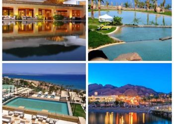 شركات وزارة قطاع الأعمال العام تواصل دعمها لمشروعات التنمية في أرض الفيروز