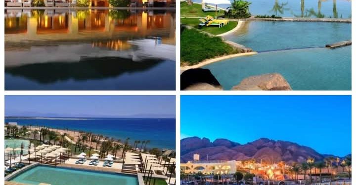 شركات وزارة قطاع الأعمال العام تواصل دعمها لمشروعات التنمية في أرض الفيروز