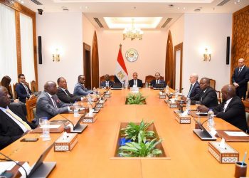 وزير الخارجية والهجرة يستقبل أعضاء اللجنة التنفيذية للرابطة الإفريقية للإدارة العامة في مصر