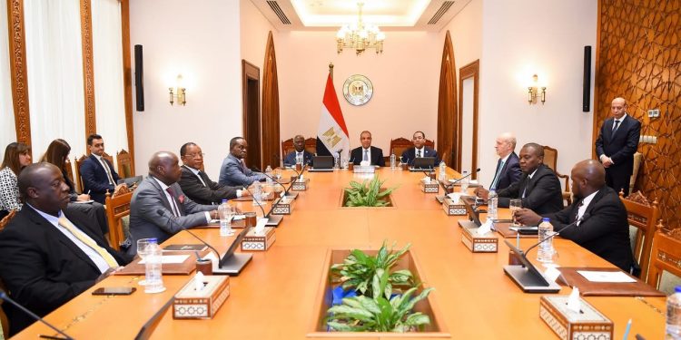 وزير الخارجية والهجرة يستقبل أعضاء اللجنة التنفيذية للرابطة الإفريقية للإدارة العامة في مصر