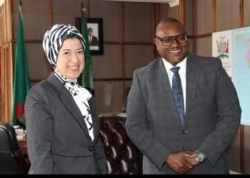 لقاء السفيرة المصرية في زامبيا  بوزير الخارجية والتعاون الدولي الزامبي