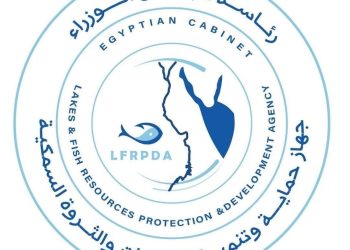 إنتاج حوالي ٣٨ طن من الأسماك خلال هذا الأسبوع من حوضين سمكيين مساحتهما ١١ فدان بمزرعة برسيق بالبحيرة