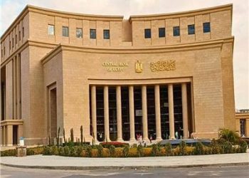 البنك المركزي 20 مليار دولار تحويلات المصريين في الخارج في أقل من 7 أشهر
