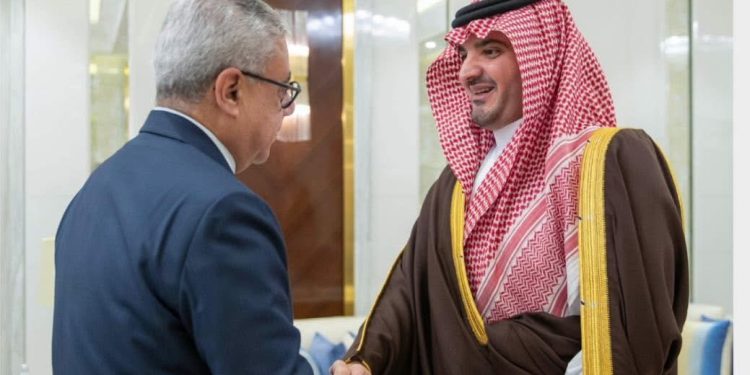 السفير المصري في الرياض يلتقي مع وزير الداخلية السعودي