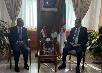 وزير الخارجية والهجرة يلتقي بوزير الدولة الجزائري للطاقة والمناجم والطاقات المتجددة