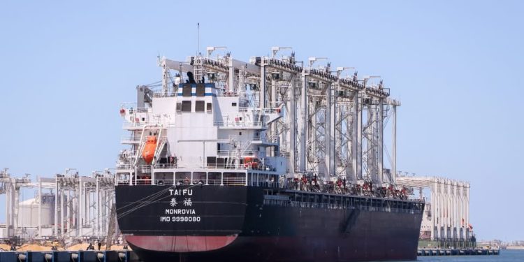 ميناء دمياط يستقبل 10 أوناش ساحة جديدة للخدمة بمحطة حاويات “تحيا مصر 1”