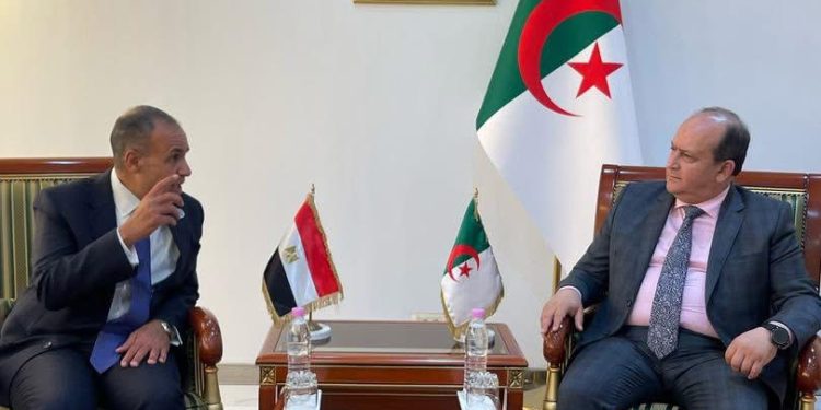 وزير الخارجية والهجرة يلتقي بوزير الصناعة والإنتاج الصيدلاني الجزائري