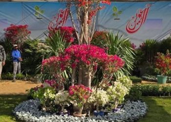 ألوان الطبيعة وأعياد الربيع تزين المتحف الزراعي في معرض زهور الربيع 2025