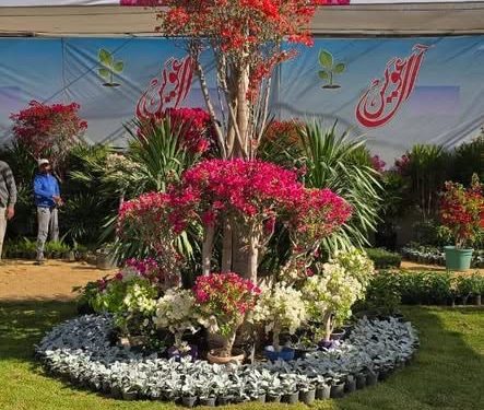 ألوان الطبيعة وأعياد الربيع تزين المتحف الزراعي في معرض زهور الربيع 2025