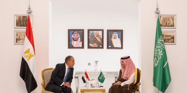 وزير الخارجية والهجرة يترأس وفد مصر في أعمال لجنة المتابعة والتشاور السياسي مع السعودية في الرياض