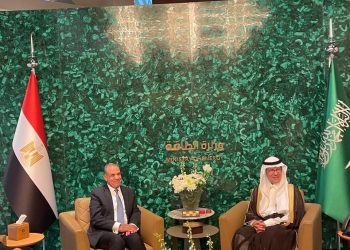 وزير الخارجية والهجرة يلتقي بوزير الطاقة السعودي