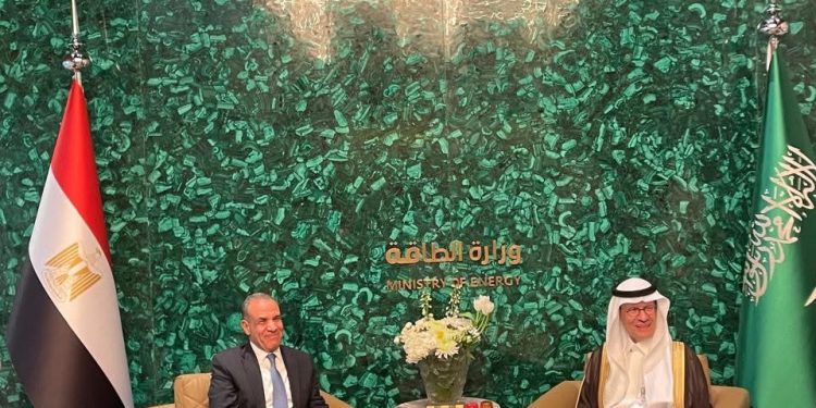 وزير الخارجية والهجرة يلتقي بوزير الطاقة السعودي