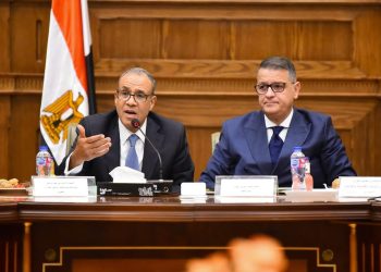 عبد العاطي يلتقى مع لجنة حقوق الإنسان بمجلس النواب