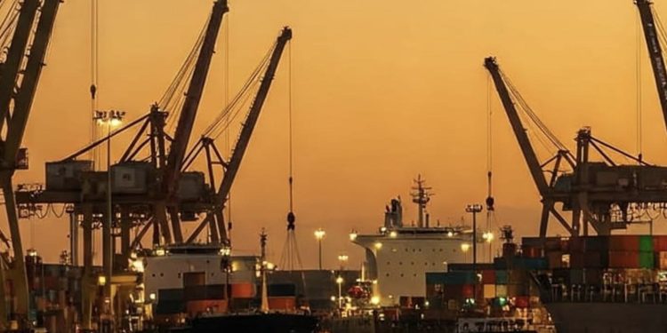 122 مليون دولار تبادل تجاري مصري جيبوتي