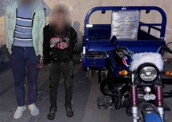ضبط شخصين لقيامهما بسرقة هاتف محمول من إحدى السيدات بالإسكندرية