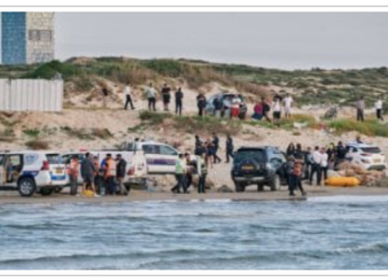 هجوم أسماك القرش… يثير الذعر ويغلق شواطئ إسرائيلية على البحر المتوسط