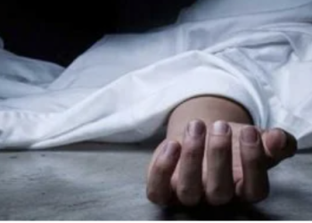 مصرع عامل زراعي… داخل ماكينة حصاد قمح بالشرقية