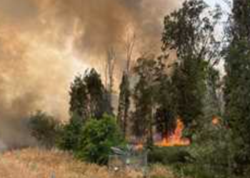 سلسلة “حرائق” تضرب مناطق متفرقة قرب تل أبيب وبيت شميس بالقرب من القدس