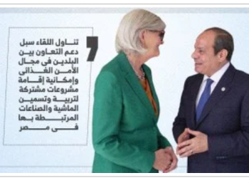 “السيسي وموستين” … يبحثان تعزيز التعاون الشامل ويسعيان لحل الدولتين في غزة