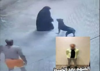 الداخلية تكشف ملابسات فيديو دفع كلب للهجوم على سيدة بالمحلة