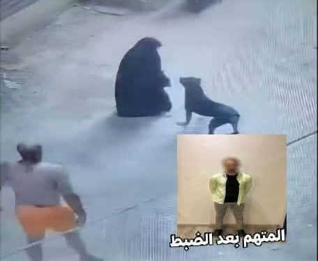 الداخلية تكشف ملابسات فيديو دفع كلب للهجوم على سيدة بالمحلة