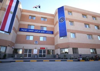 مرور مصر تسهل نقل ملكية السيارات إلكترونيًا: خطوات بسيطة لتجنب الزحام