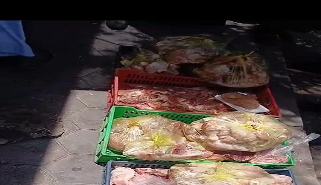 محافظ أسيوط: ضبط لحوم فاسدة وتحرير 196 محضرًا خلال حملات تموينية مكثفة