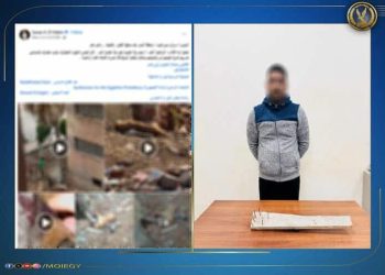 كشف ملابسات مقاطع فيديو تضمنت قيام أحد الأشخاص بالتعدى على الكلاب الضالة بالبحيرة