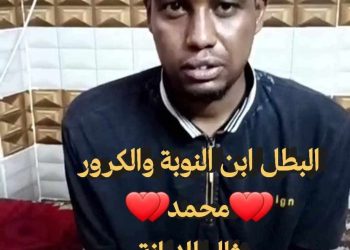 البطل المجهول”.. شاب من أسوان يتصدى لعصابة اقتحمت مخزن شركة LM