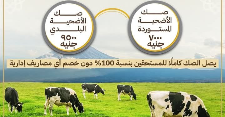 اليوم.. انطلاق حملة صكوك الأضاحي لعام ١٤٤٦هـ / ٢٠٢٥م