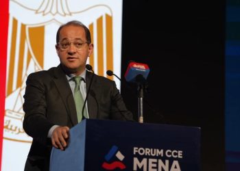 “وزير المالية” يؤكد لكبرى الشركات الفرنسية: الاقتصاد المصري واعد ويوفر فرصًا استثمارية هائلة