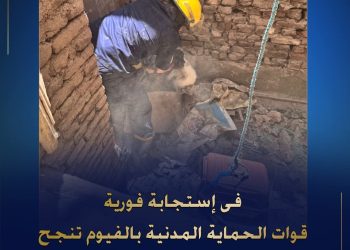 “سرعة استجابة وجانب إنساني: الحماية المدنية بالفيوم تنقذ قطتين محتجزتين”