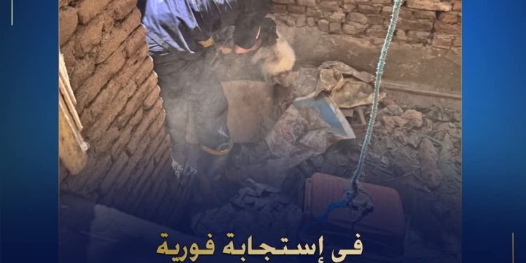 “سرعة استجابة وجانب إنساني: الحماية المدنية بالفيوم تنقذ قطتين محتجزتين”