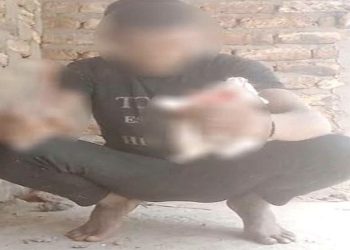 القبض علي مرتكب الواقعة تعدي علي هرة بسلاح ابيض