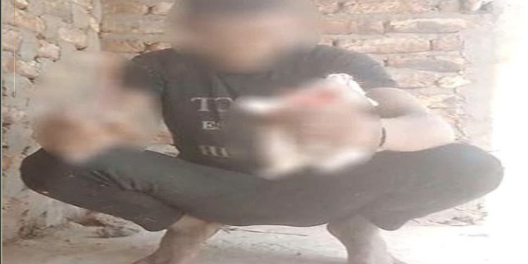 القبض علي مرتكب الواقعة تعدي علي هرة بسلاح ابيض