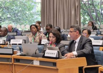 مساعد وزير الخارجية يعرض الأولويات التنموية والتمويلية والتكنولوجية أمام الاجتماع الأفريقي