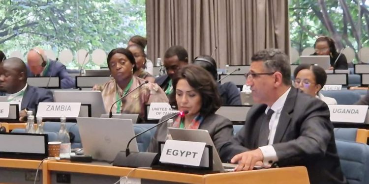 مساعد وزير الخارجية يعرض الأولويات التنموية والتمويلية والتكنولوجية أمام الاجتماع الأفريقي