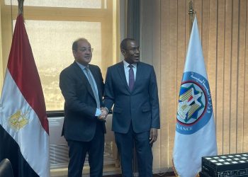 وزير المالية الاقتصاد المصرى يتطور للأفضل بمؤشرات جيدة وطموحة خلال ١٠ أشهر