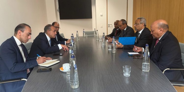 عبد العاطي  يلتقى مع وزير خارجية جيبوتى