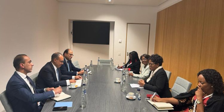 وزير الخارجية والهجرة يلتقى مع وزيرة خارجية مالاوي على هامش الاجتماع الوزاري الإفريقى الأوروبى