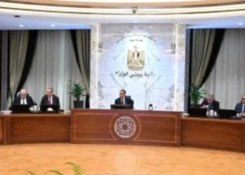 “مدبولي” يوجه بتسهيل إجراءات دخول السياح وتطوير منظومة “التأشيرة الإلكترونية” العاجلة