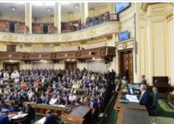 البرلمان يقر تعديلات قانون الصيدلة… ويقرر تدريب إلزامي للخريجين ومكافأة “2500 جنية”