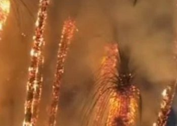 “حريق هائل” ألتهم كورنيش المنيل ليلاً وأثار الذعر