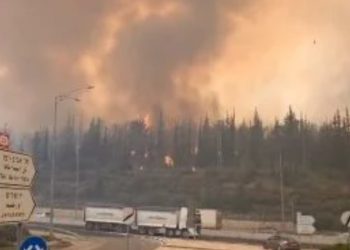 تجدد الحرائق في وادي القدس… وسط حالة الطوارئ في إسرائيل