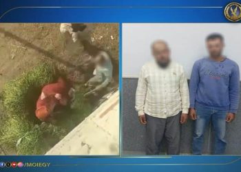 كشف ملابسات مقطع فيديو تم تداوله عبر مواقع التواصل الإجتماعى يتضمن تعدى شخصين على سيدة بالضرب بالدقهلية.. وضبط مرتكبا الواقعة