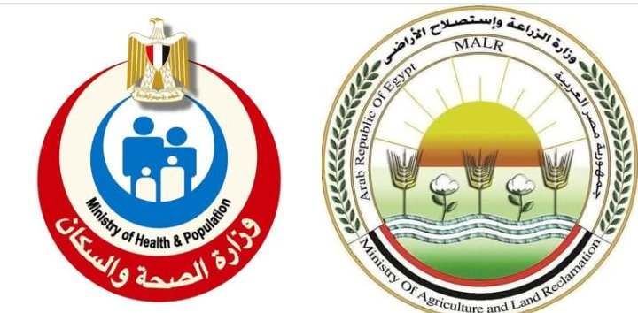 وزارتا “الصحة” و”الزراعة” ينفيان ما يتم تداوله من شائعات حول إصابة الدواجن بفيروس وبائي يمنع تناولها أو الاقتراب منها والتعامل معها